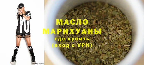 шишки Няндома