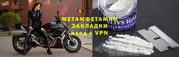 индика Богородск
