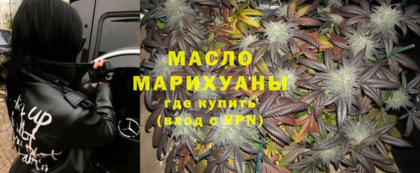 индика Богородск