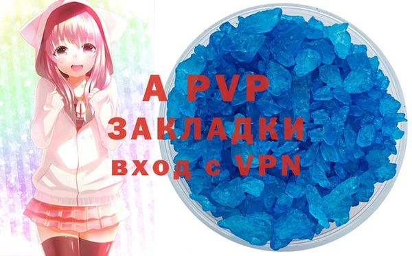 индика Богородск
