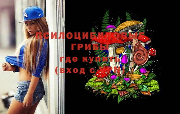 экстази Богородицк