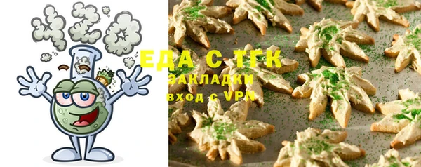 индика Богородск