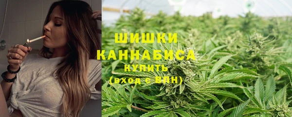 экстази Богородицк
