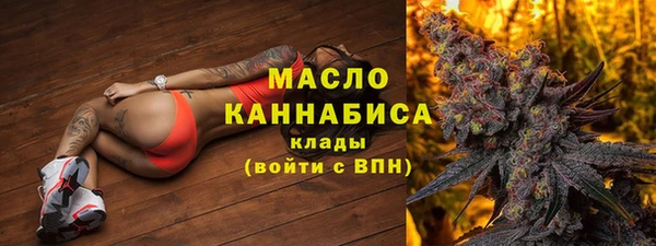 индика Богородск