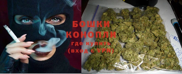 индика Богородск