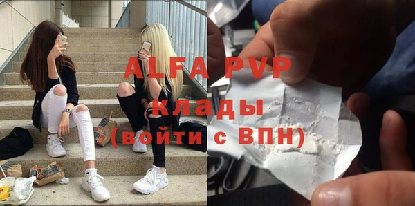 индика Богородск