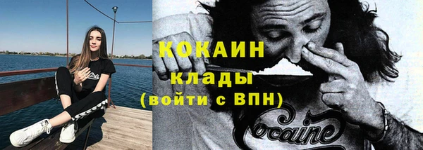 индика Богородск