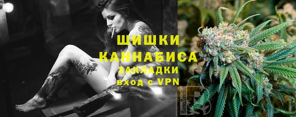 индика Богородск