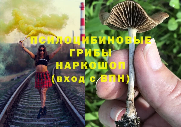 мяу мяу мука Богданович