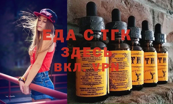 индика Богородск