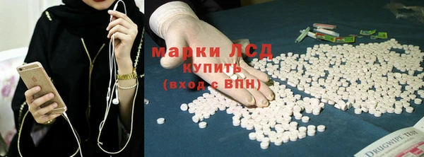 индика Богородск